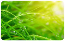 Высокопродуктивный и надежный