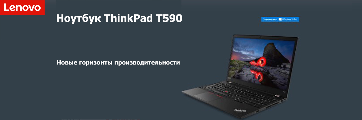 ThinkPad T590