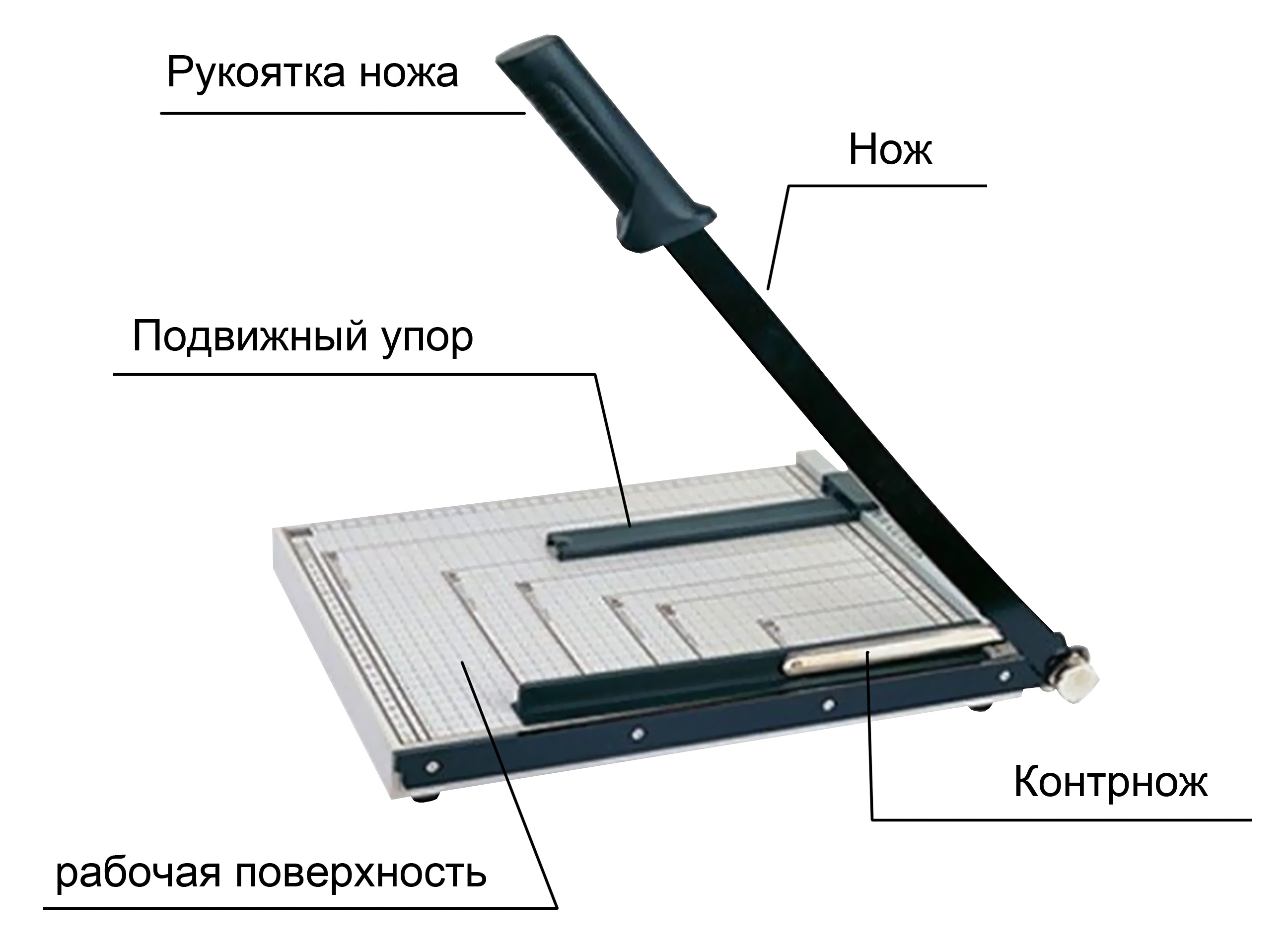CS-D-sab-8292-___-440-__