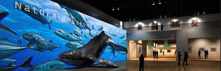 PANASONIC PT-DW11KE превосходное качество изображения