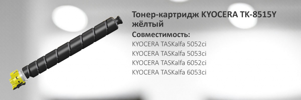 1T02NDANL1.jpg