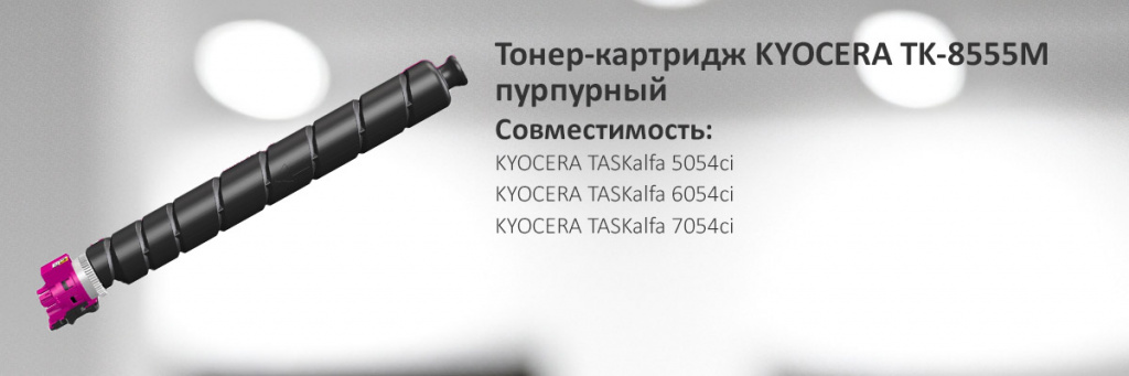 1T02XCBNL0.jpg