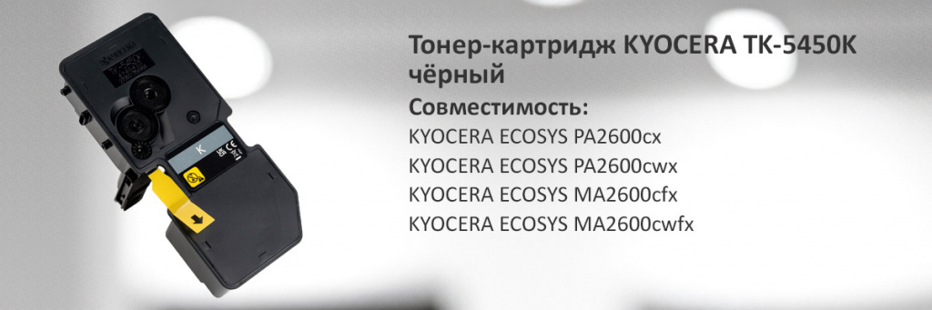 1T0C0D0NL0.jpg