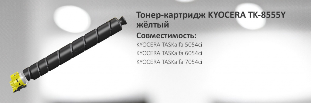 1T02XCANL0.jpg