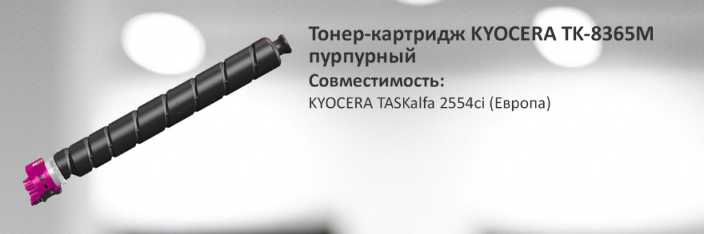 1T02YPBNL0.jpg