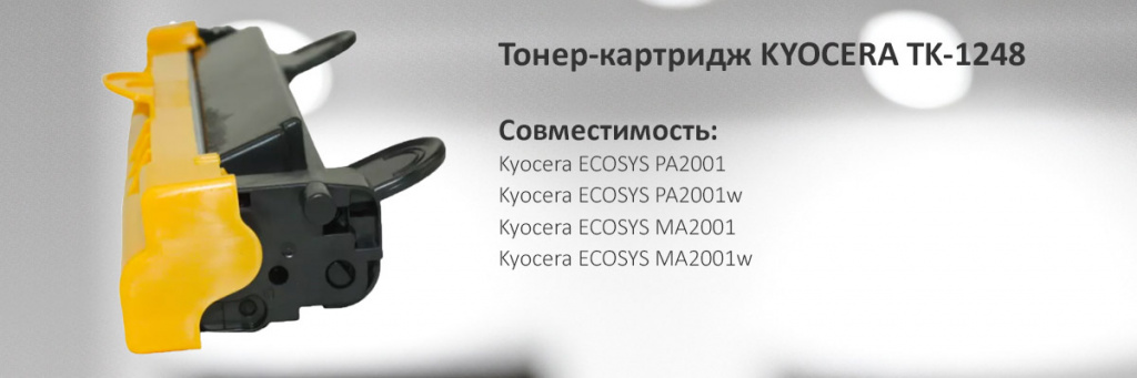 1T02Y80NL0.jpg
