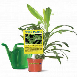 XEROX 003R98056 Premium NeverTear бумага синтетическая А4, 95 мкм, 100 листов